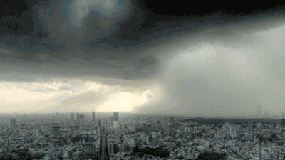 01.gif